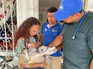 Atlántico: línea de atención a mascotas en los municipios - Barranquilla - Colombia