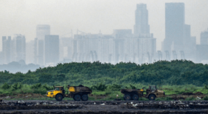 Carrera contrarreloj en Singapur para salvar "el basurero del Edén"