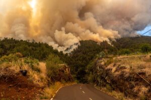 Continúan los trabajos en la zona alta del incendio de La Palma para evitar la progresión hacia la Caldera