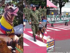 Desfile 20 de julio:rindieron homenaje a Wilson, perro perdido en selva del Guaviare - Otras Ciudades - Colombia