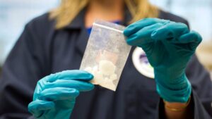 EEUU sanciona a una empresa y a diez mexicanos vinculados con el tráfico de fentanilo