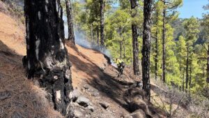 El incendio de La Palma sigue activo en dos frentes y se da por estabilizado en la zona de El Reventón