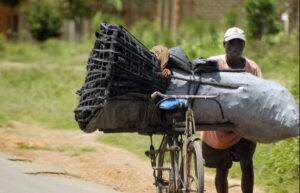 El mercado gris del carbón vegetal en África oriental y el fracaso del prohibicionismo
