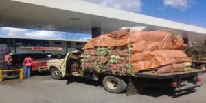 Fedeagro: Escasez de combustible y servicios afectan al agro