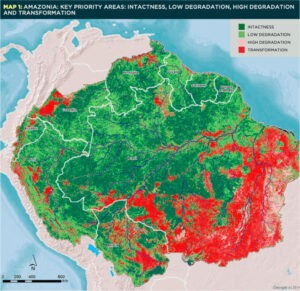 Grandes bancos financian destrucción de la Amazonia