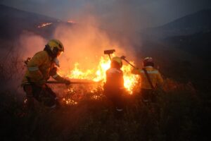 Incendio forestal en Cali: Autoridades investigan quién provocó la conflagración - Cali - Colombia
