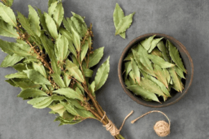 Las hojas de laurel y sus beneficios