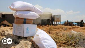 ONU no logra prolongar vía de ayuda humanitaria a Siria – DW – 12/07/2023
