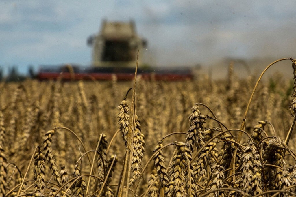 Rusia dispuesta a sustituir el grano ucraniano