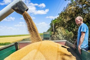Rusia suspende acuerdo de exportación de granos