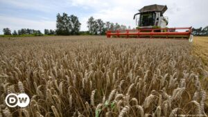 Rusia suspende acuerdo de exportación de granos – DW – 17/07/2023
