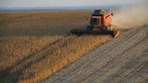Rusia suspende el acuerdo de exportación de grano a través del mar Negro tras el ataque al puente de Crimea