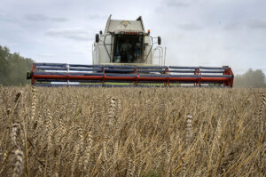 Rusia suspende el acuerdo de grano y volver a asfixiar las exportaciones mundiales de alimentos desde Ucrania