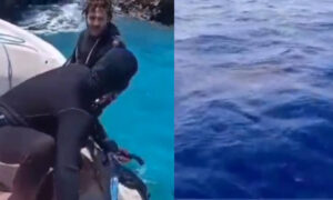 San Andrés: tiburón atacó a Cristian Castaño, apneista que entrenaba - Otras Ciudades - Colombia