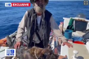 Tim Shaddock y su perra Bella, los nufragos que sobrevivieron dos meses a la deriva en el Pacfico a base de pescado crudo