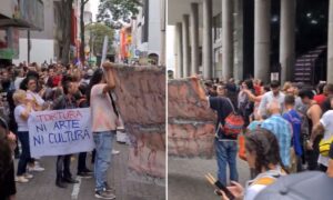 Tras muerte de chimpancés, manifestantes hacen plantón frente a la Alcaldía de Pereira - Otras Ciudades - Colombia
