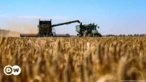 Unión Africana y G20 critican fin de acuerdo de granos – DW – 18/07/2023