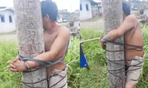 Video muestra cómo un ladrón terminó atado a un poste y rogando por su vida - Gente - Cultura