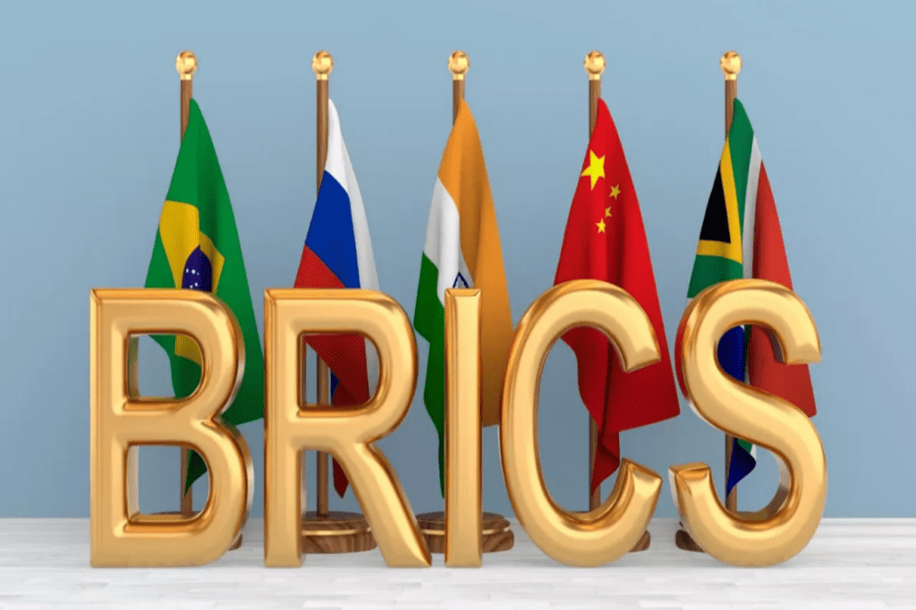 cómo la moneda de BRICS ofrece un "mejor negocio para el Sur Global" |
