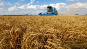países de África censuran la decisión de Rusia de no renovar el acuerdo del grano