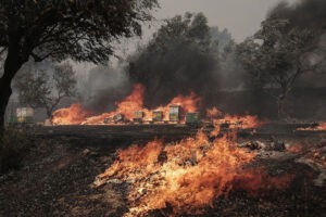 27 migrantes irregulares mueren en devastadores incendios en Grecia