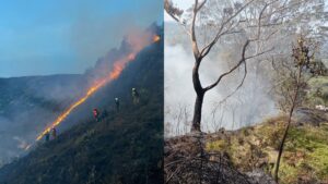 Alerta roja en Tolima por Incendios forestales, piden tener precauciones - Otras Ciudades - Colombia
