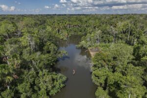 Amazona: El codiciado pulmn del planeta