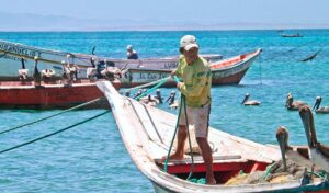 Aseguran que reforma de la Ley de Pesca y Acuicultura favorece a los trabajadores