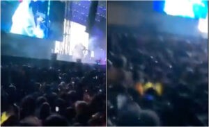 Caída masiva en concierto de Lana del Rey en México: ¿qué pasó? - Gente - Cultura