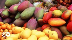 China suspende importación de mangos de Taiwán – DW – 21/08/2023
