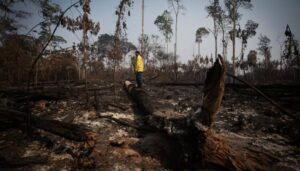 Cumbre amazónica debe lidiar con la destrucción y el crimen