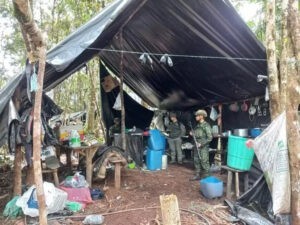 Desmantelan un laboratorio de procesamiento de coca en Boyacá - Otras Ciudades - Colombia