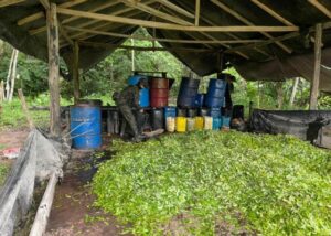 Destruyen cinco laboratorios de procesamiento de cocaína en Chocó - Otras Ciudades - Colombia