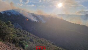 El incendio de Portbou (Girona) quema 150 hectáreas y es complicado por el viento