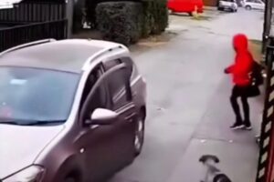 El momento en el que un perro frustra un presunto intento de secuestro de una joven (+Video)