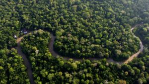 Presidente brasileño espera que cumbre amazónica restaure protecciones