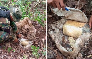FANB desactivó cuatro artefactos explosivos en una zona boscosa del estado Bolivar