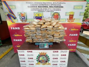 FANB incautaron 159 panelas de presunta droga en el estado Táchira - Yvke Mundial