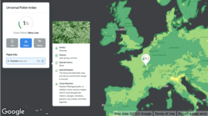 Google lanza nuevas herramientas para ayudar a las empresas y ciudades a mapear la información ambiental