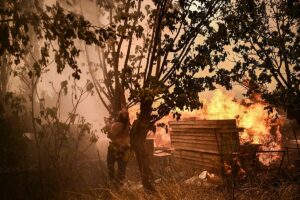 Hallan los cuerpos calcinados de 27 migrantes en una zona boscosa de Grecia afectada por un incendio