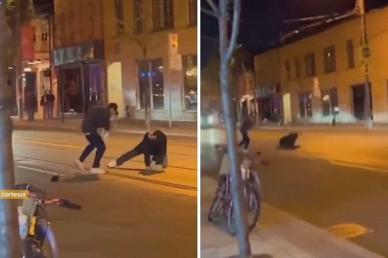 Hombre usó su serpiente pitón como arma durante una pelea callejera (+Video)