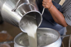 Impulso a la producción de leche en Colombia: Alianza Público-Privada para el crecimiento sostenible