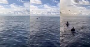 Indonesia: así encontraron con vida a 4 surfistas que llevaban 36 horas perdidos en el mar