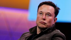 Environmental activists are fleeing Elon Musk's Twitter