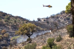 Las ADF lamentan que los Bombers no les "permitan trabajar" en el incendio de Portbou (Girona)