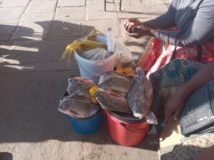 Los peces desaparecen y llegan los tiempos difíciles para pescaderas de Zimbabue
