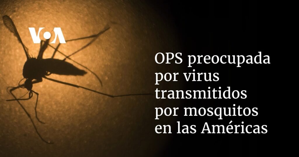 OPS preocupada por virus transmitidos por mosquitos en las Américas