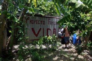 Producción de alimentos afianza equidad de las mujeres en La Habana