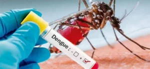 Se duplican casos de dengue en Venezuela: Sociedad de Infectología