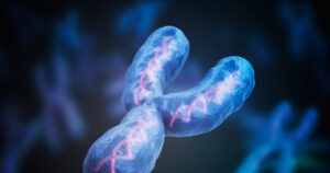 Secuencian el cromosoma Y, el último que quedaba por descifrar del ADN humano